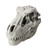 17" Gray Light and Sound Sonic T-Rex Dinosaur Skull Head Halloween Decor - IMAGE 1