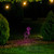 LED Rope Lighted Flamingo Silhouette Outdoor Decoration - 24" - Pink Lights - IMAGE 3