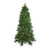6.5' Pre-Lit Medium Neola Fraser Fir Artificial Christmas Tree - Dual LED Lights - IMAGE 1