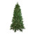 12' Pre-Lit Instant Connect LED Neola Fraser Fir Artificial Christmas Tree - Multicolor Lights - IMAGE 1