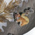 5.25" Beige and White Glittered Stuffed Squirrel Christmas Ornament - IMAGE 2