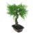16" Green Mini Maple Artificial Bonsai Tree in a Brown Pot - IMAGE 2