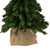 15" Downswept Village Pine Medium Artificial Christmas Tree in Burlap Base, Unlit - IMAGE 5