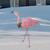 3' Pink Glittered Flamingo with Holly and Berry Outdoor Yard Decor - IMAGE 2