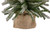 18" Potted Flocked Downswept Mini Village Pine Medium Artificial Christmas Tree - Unlit - IMAGE 5