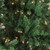 9.5' Pre-Lit Full Buffalo Fir Artificial Christmas Tree - Clear Lights - IMAGE 2