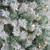 9' Pre-Lit Flocked Winema Pine Artificial Christmas Tree - Clear Lights - IMAGE 2