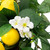 Lemons and Daisies Artificial Floral Wreath, Yellow - 20-Inch - IMAGE 5
