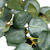 Eucalyptus Leaves Artificial Botanical Spring Wreath - 20" - IMAGE 6