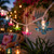 Flowers Indoor Outdoor Patio Light Set - Multicolor - 9' White Wire - 10ct - IMAGE 3