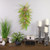 Fern and Succulents Artificial Spring Teardrop Swag - 28" - IMAGE 3
