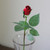 Single Long Stem Rose Bud Artificial Floral Spray - 23" - Burgundy - IMAGE 2