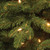 7.5’ Pre-Lit Ridgewood Spruce Artificial Christmas Tree, Clear Lights - IMAGE 3