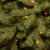 4' Pre-lit Potted Downswept Fir Artificial Christmas Tree, Clear Lights - IMAGE 2