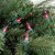 Mini Christmas Lights - Pink - 36ft Green Wire - 100ct - IMAGE 4