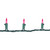 Mini Christmas Lights - Pink - 36ft Green Wire - 100ct - IMAGE 5