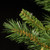 4.5’ Slim Tiffany Fir Artificial Christmas Tree, Unlit - IMAGE 4