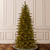 7.5’ Pre-Lit Slim Sierra Spruce Artificial Christmas Tree, Clear Lights - IMAGE 2