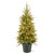 4' Pre-lit Potted Weeping Spruce Artificial Christmas Tree, Clear Lights - IMAGE 1