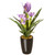 17” Potted Purple Iris Artificial Plant in a Black Vase - IMAGE 1