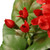 Red Geranium and Ivy Wall Basket  – 11 Inch - IMAGE 3