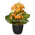 12” Potted Primula Artificial Plant - IMAGE 1