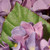 11" Garden Accents Purple Hydrangea Artificial Flower Pot - IMAGE 2