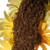 19" Unlit Garden Accents Yellow Cosmos Artificial Christmas Wreath - IMAGE 5
