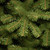 6.5' Slim North Valley Spruce Artificial Christmas Tree, Unlit - IMAGE 2