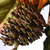 6' x 6" Sunflower and Pine Cones Artificial Fall Harvest Garland, Unlit - IMAGE 4