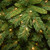 12’ Pre-Lit Medium Tiffany Fir Artificial Christmas Tree, Clear Lights - IMAGE 3