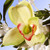 28" White Rose & Calla Lily Swag - IMAGE 3