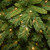 10’ Pre-Lit Slim Tiffany Fir Artificial Christmas Tree, Clear Lights - IMAGE 3