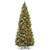 10' Pre-Lit Slim Carolina Pine Artificial Christmas Tree, White Lights - IMAGE 1