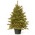 3' Pre-lit Potted Hampton Spruce Artificial Christmas Tree, Clear Lights - IMAGE 1