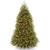 6.5 ft. Pre-lit Dunhill Artificial Christmas Tree with Clear Lights - IMAGE 1