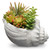 9.8" Succulent Plants - Ceramic Pot - IMAGE 1