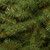 6’ Medium Kincaid Spruce Artificial Christmas Tree, Unlit - IMAGE 2