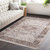 3'11" x 5'3" Distressed Classic Oriental Brown and Gray Rectangular Polyester Area Throw Rug - IMAGE 2