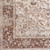 3'11" x 5'3" Distressed Classic Oriental Brown and Gray Rectangular Polyester Area Throw Rug - IMAGE 4