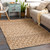 2' x 3' Beige and Brown Rectangular Hand Woven Area Throw Rug