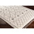 3' x 5' Ethnic Pattern Gray and Beige Rectangular Machine Woven Area Rug - IMAGE 6