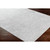 3' Distressed Gray and White Persian Pattern Machine Woven Area Rug