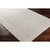 2’ x 3’ Solid Color Ivory Rectangular Wool Area Rug