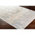 6'7” x 9’6” Distressed Blue and Beige Hue Rectangular Area Throw Rug - IMAGE 2