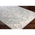 5'3" x 7'3" Oriental Gray and Beige Polypropylene Area Throw Rug