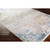 3' x 9.8' Distressed Finish Taupe and Sky Blue Rectangular Area Throw Rug Runner