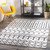 2' x 3’ Moroccan Bohemian Design White and Black Rectangular Area Throw Rug - IMAGE 2