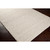 6' x 9' Braided Design Ivory Rectangular Area Throw Rug