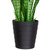 Real Touch™️ Artificial Two Tone Potted Snake Plant - 3'